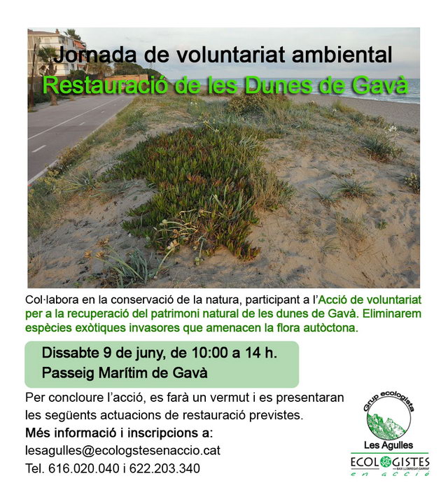 Cartel de la jornada de restauracin de les dunas de Central Mar (Gav Mar) organizada por el grupo ecologista 'Les Agulles' (9 Junio 2012)